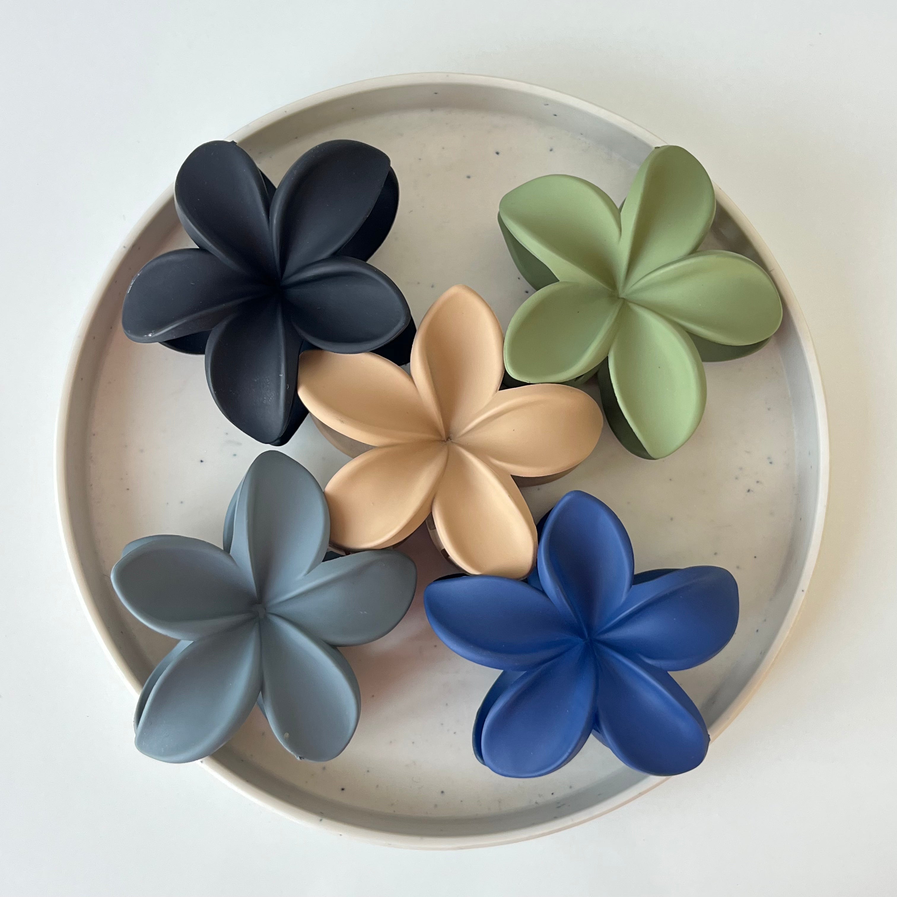 Maranta Claw Clip – Large (Vault Set of 10)